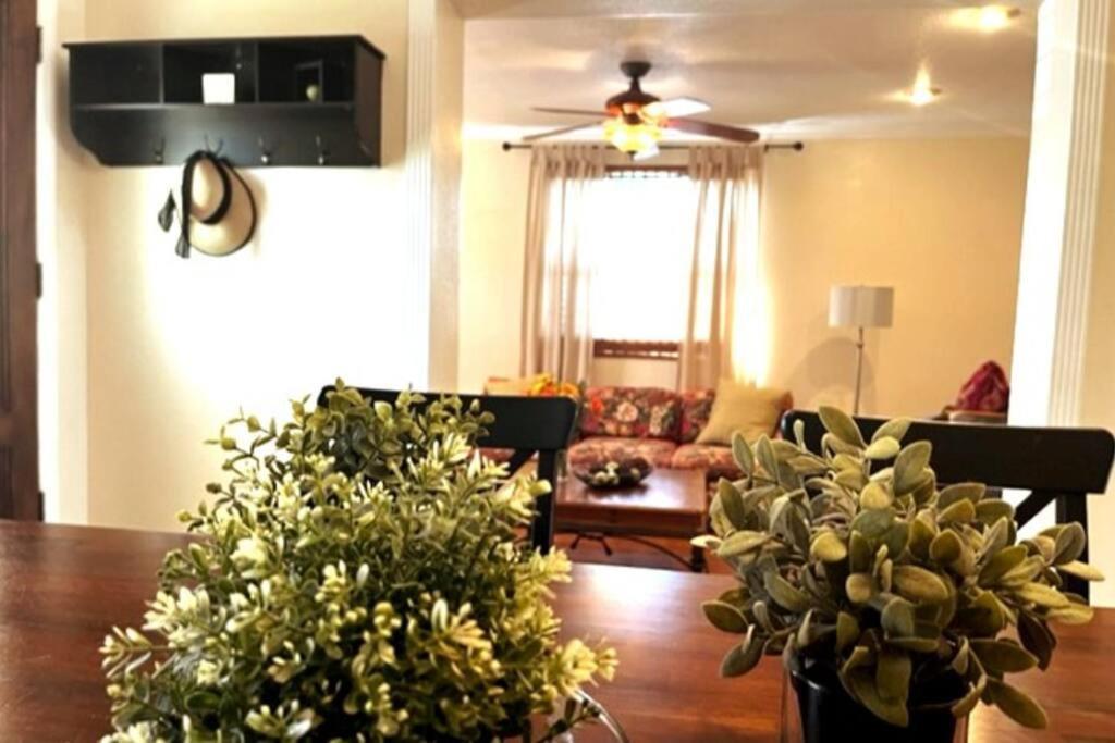 טאמפה House Close To Downtown, Airport, Raymond James Stadium, And Many More Places מראה חיצוני תמונה