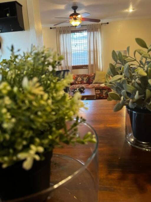 טאמפה House Close To Downtown, Airport, Raymond James Stadium, And Many More Places מראה חיצוני תמונה
